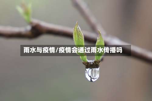 雨水与疫情/疫情会通过雨水传播吗-第2张图片