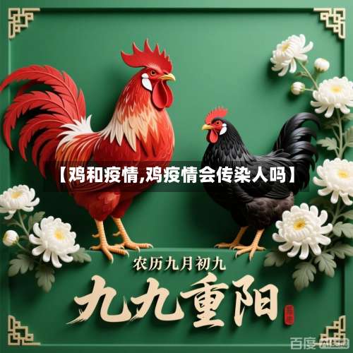 【鸡和疫情,鸡疫情会传染人吗】