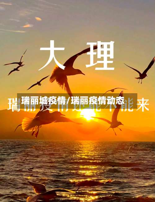 瑞丽城疫情/瑞丽疫情动态