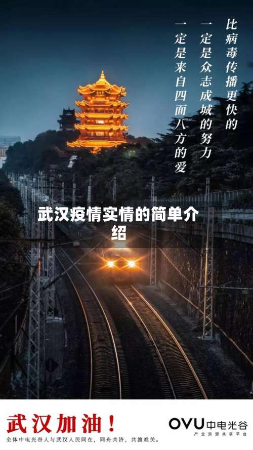武汉疫情实情的简单介绍-第2张图片
