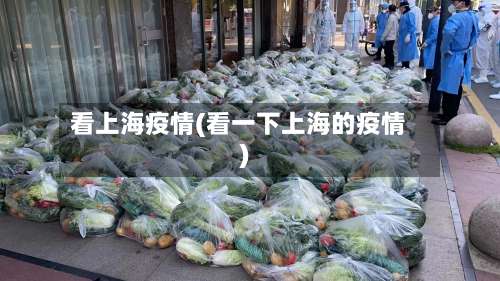 看上海疫情(看一下上海的疫情)