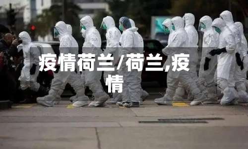 疫情荷兰/荷兰,疫情