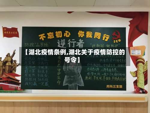 【湖北疫情条例,湖北关于疫情防控的号令】