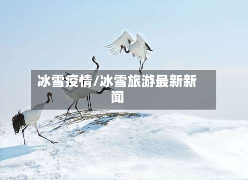 冰雪疫情/冰雪旅游最新新闻