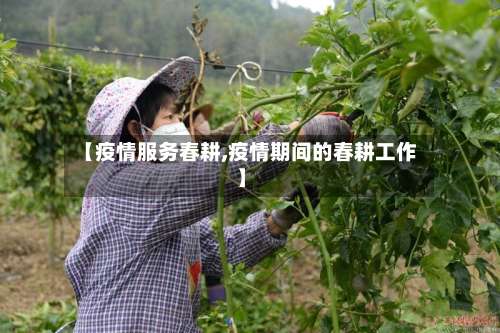 【疫情服务春耕,疫情期间的春耕工作】-第2张图片