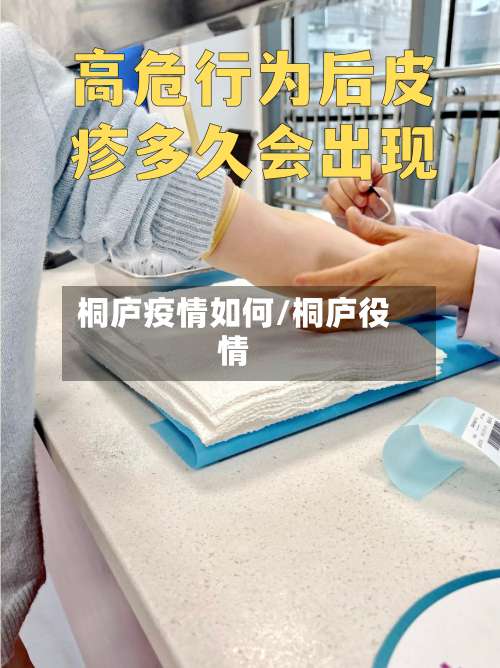 桐庐疫情如何/桐庐役情