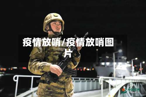 疫情放哨/疫情放哨图片