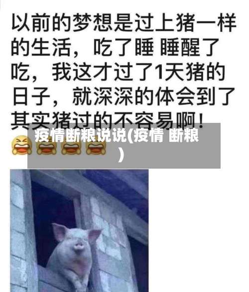 疫情断粮说说(疫情 断粮)