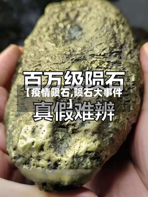 【疫情陨石,陨石大事件】-第2张图片