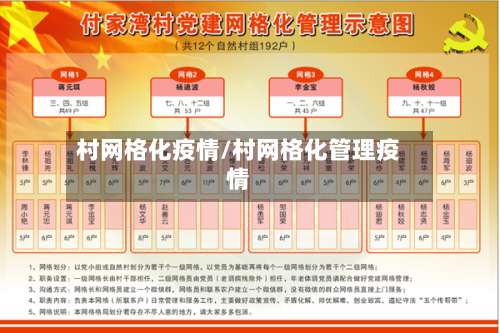 村网格化疫情/村网格化管理疫情