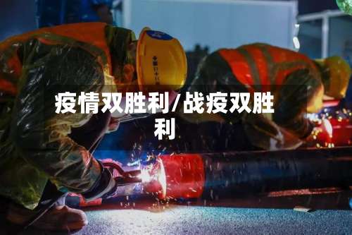 疫情双胜利/战疫双胜利