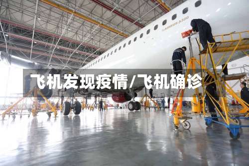 飞机发现疫情/飞机确诊-第3张图片