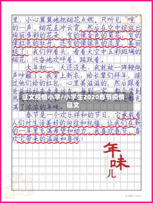 征文疫情小学/小学生2020春节疫情征文-第2张图片