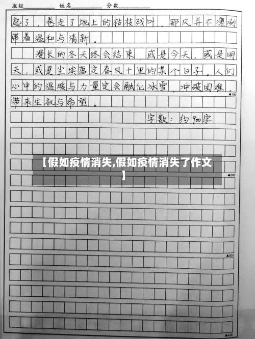 【假如疫情消失,假如疫情消失了作文】