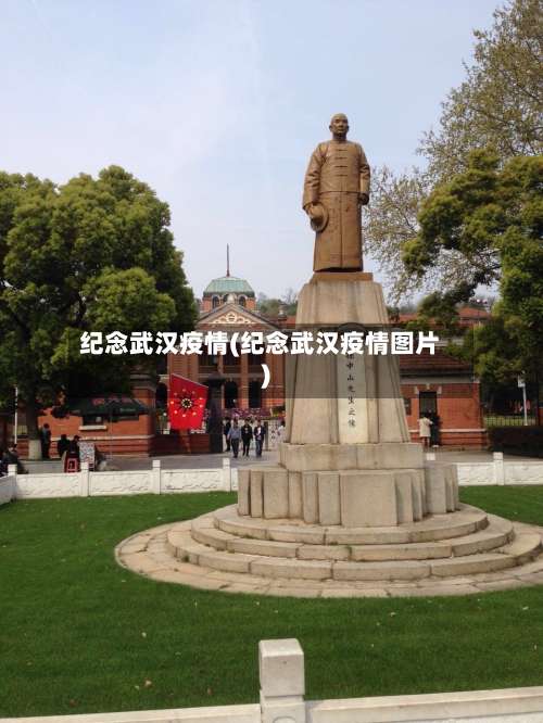 纪念武汉疫情(纪念武汉疫情图片)-第2张图片