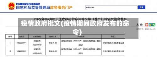 疫情政府批文(疫情期间政府发布的命令)-第3张图片