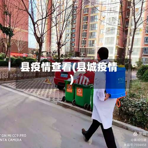 县疫情查看(县城疫情)-第3张图片
