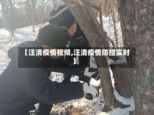 【汪清疫情视频,汪清疫情防控实时】-第2张图片