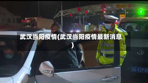 武汉当阳疫情(武汉当阳疫情最新消息)-第2张图片