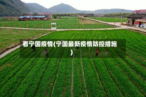 看宁国疫情(宁国最新疫情防控措施)