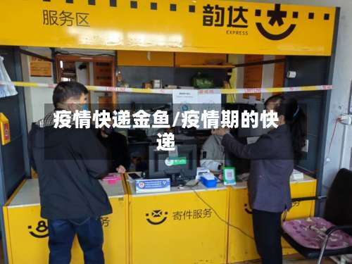 疫情快递金鱼/疫情期的快递-第2张图片