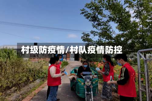 村级防疫情/村队疫情防控-第3张图片