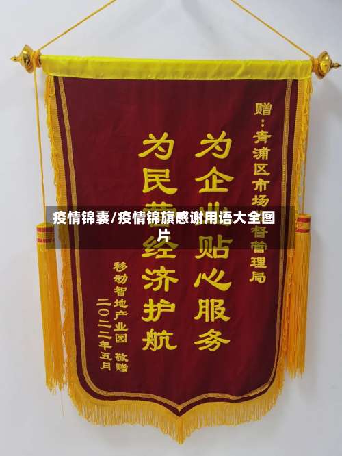 疫情锦囊/疫情锦旗感谢用语大全图片