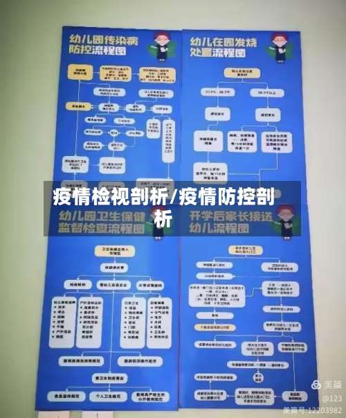 疫情检视剖析/疫情防控剖析-第2张图片