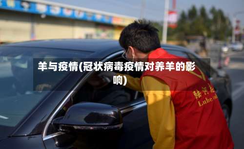 羊与疫情(冠状病毒疫情对养羊的影响)