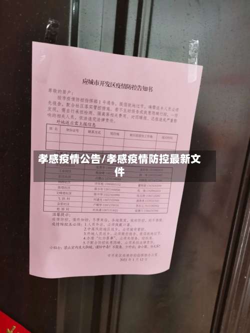 孝感疫情公告/孝感疫情防控最新文件-第2张图片