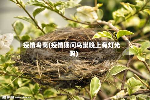 疫情鸟窝(疫情期间鸟巢晚上有灯光吗)-第2张图片