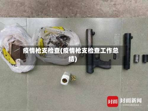 疫情枪支检查(疫情枪支检查工作总结)