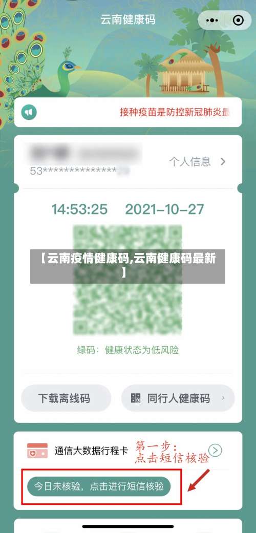 【云南疫情健康码,云南健康码最新】-第2张图片
