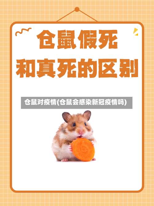 仓鼠对疫情(仓鼠会感染新冠疫情吗)