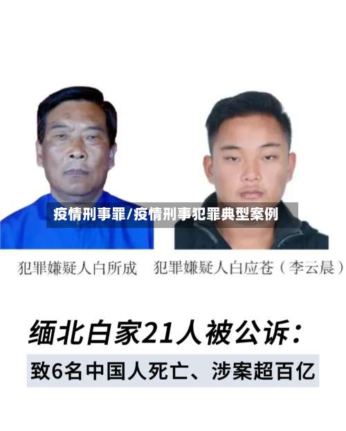 疫情刑事罪/疫情刑事犯罪典型案例