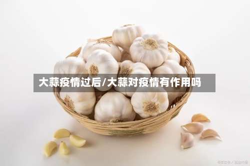 大蒜疫情过后/大蒜对疫情有作用吗-第3张图片
