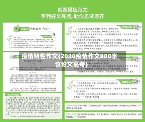疫情韧性作文(2020疫情作文800字议论文高考)