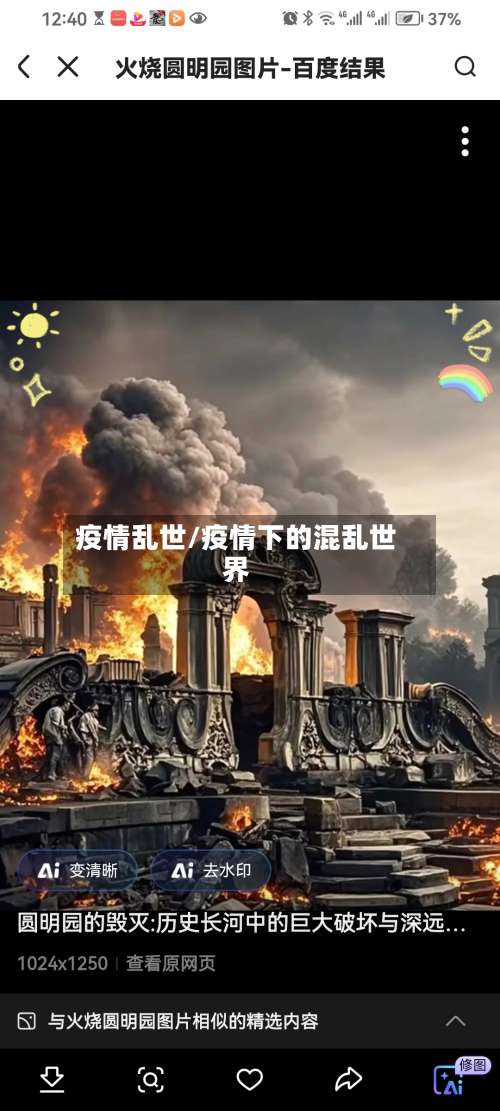 疫情乱世/疫情下的混乱世界