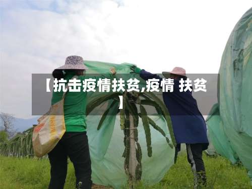 【抗击疫情扶贫,疫情 扶贫】-第2张图片