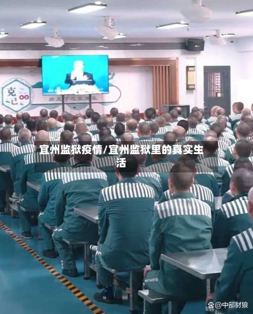 宜州监狱疫情/宜州监狱里的真实生活-第2张图片