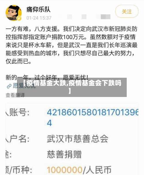 【疫情基金大跌,疫情基金会下跌吗】