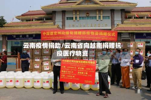 云南疫情捐助/云南省向越南捐赠抗疫医疗物资