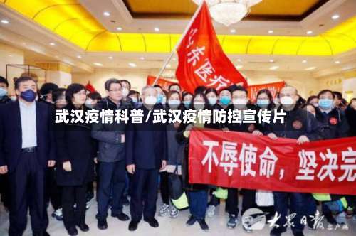 武汉疫情科普/武汉疫情防控宣传片-第2张图片