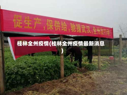 桂林全州疫情(桂林全州疫情最新消息)-第2张图片