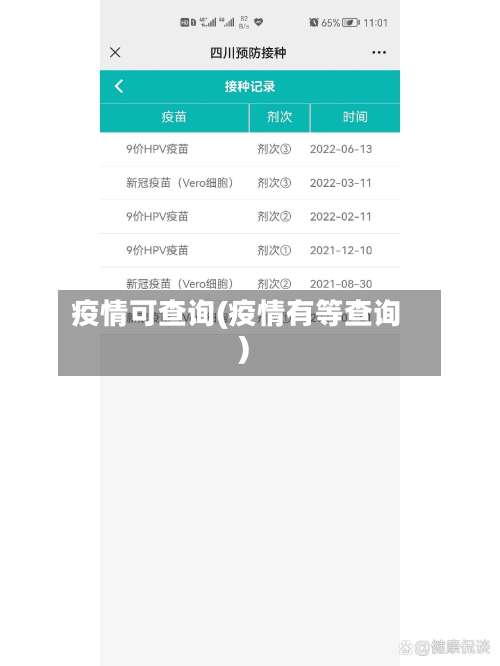 疫情可查询(疫情有等查询)