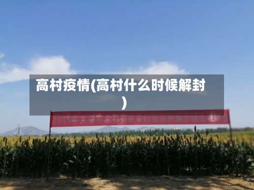 高村疫情(高村什么时候解封)