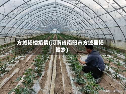 方城杨楼疫情(河南省南阳市方城县杨楼乡)-第1张图片