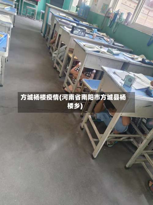 方城杨楼疫情(河南省南阳市方城县杨楼乡)-第3张图片