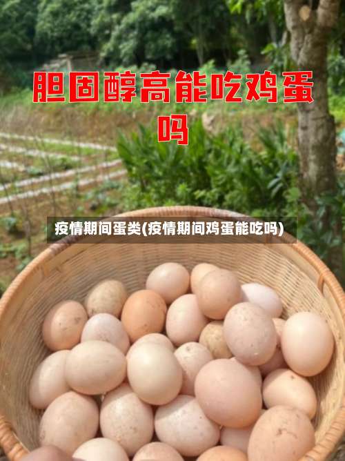 疫情期间蛋类(疫情期间鸡蛋能吃吗)
