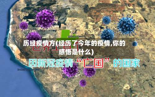 历经疫情方(经历了今年的疫情,你的感悟是什么)